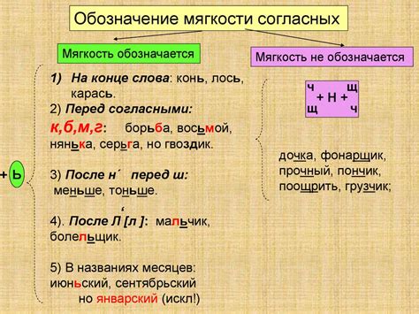 Уникальные особенности мягкого знака