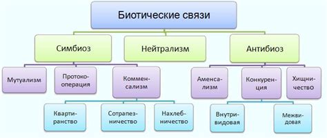 Уникальные связи и взаимоотношения