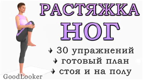 Упражнения на растяжение ног