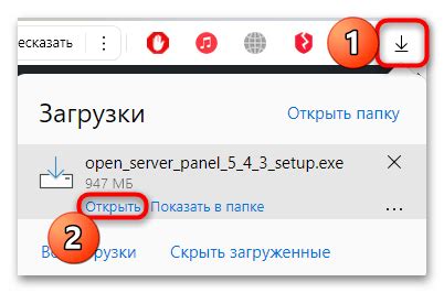 Установка Open Server