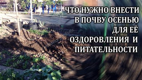 Уход за почвой в огороде