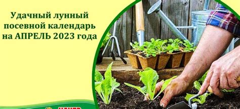 Уход за растениями: секреты успешного садоводства