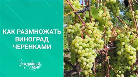 Учитывайте климатические условия