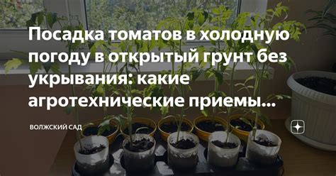 Учитывайте погоду и грунт