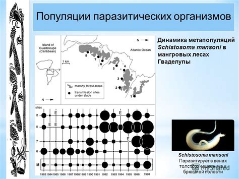 Ущерб от паразитических организмов