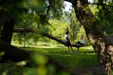 Уютные парки для непринужденной свадьбы