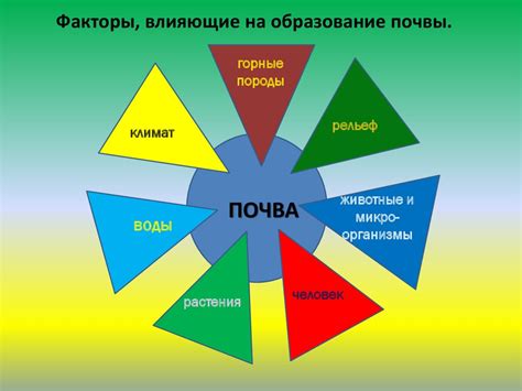 Факторы, влияющие на образование зайчиков