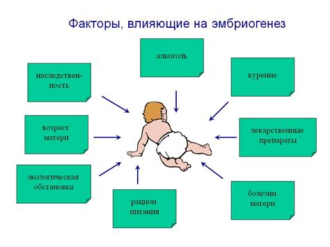 Факторы, влияющие на приживаемость плода