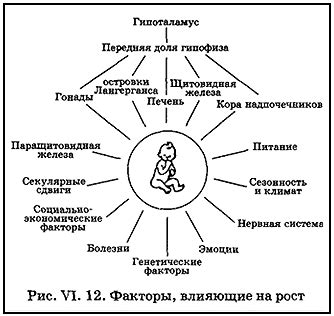 Факторы, влияющие на рост щетины у подростков