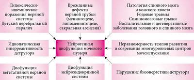 Факторы, способствующие возникновению ощущения полного мочевого пузыря