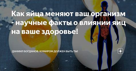 Факты о влиянии на организм