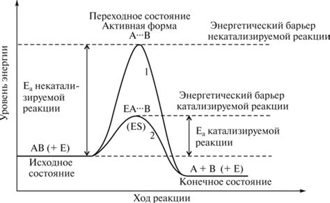 Ферментативная реакция