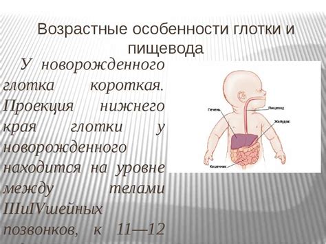 Физиологические особенности мастопатии