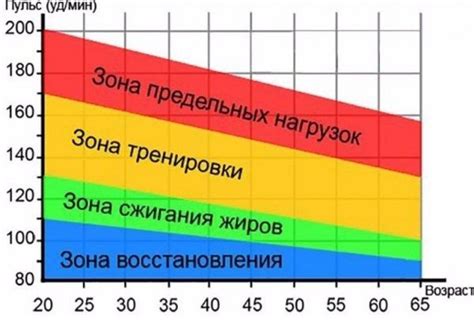 Физиология и пульс