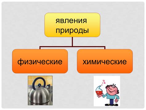 Физические и химические явления: общие черты