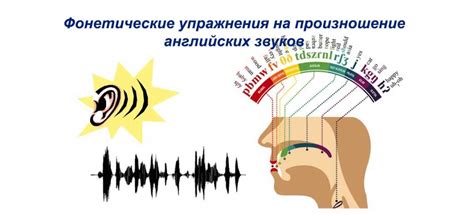 Фонетические особенности: произношение и ударение