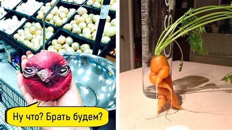 Фрукты, которые удивят