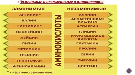 Функции аминокислот в организме