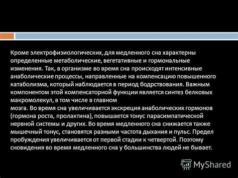 Функции и процессы, происходящие в организме во время сна