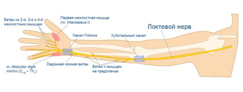 Функция и цель перевязывания пальцев