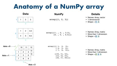 Функция numpy.array()