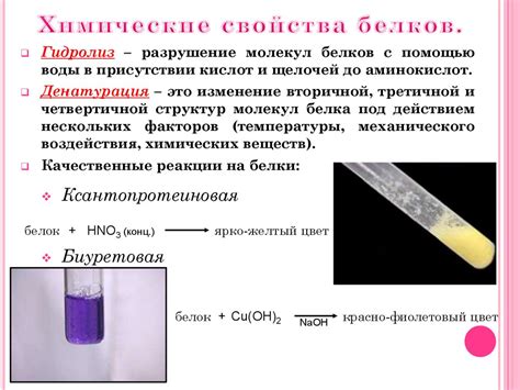 Химические свойства структуры