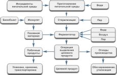 Хранение и процесс ферментации