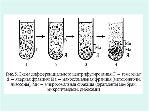 Центрифугирование в химическом синтезе