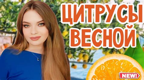 Цитрусовые нотки: вкус долгожданного свежего дня