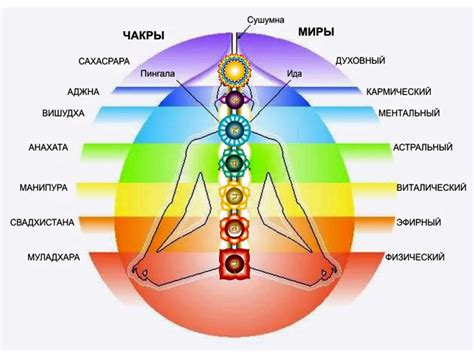Чакры и их значение в жизни человека