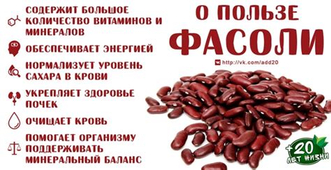 Частота потребления фасоли