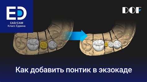 Чат в экзокаде: подробная инструкция