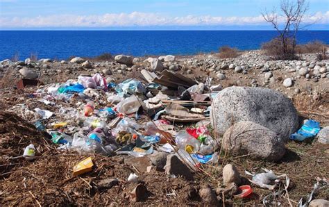 Человечество не бессильно в борьбе за экологию