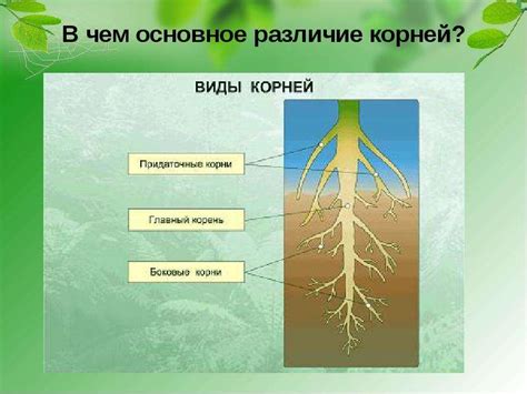 Чем отличается корень 3i от обычного корня?