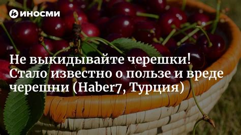 Черешни и дуэли: в чем таинственность