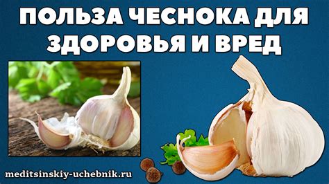 Чеснок на шею: вред или польза?