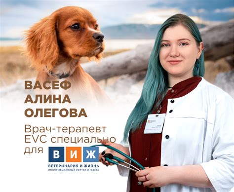 Что взять с собой на прием