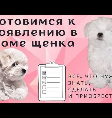 Что нужно для нового щенка