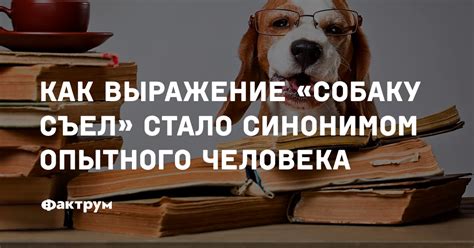 Что означает выражение "собаку съел"?