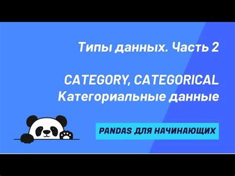 Что такое тип данных в pandas?