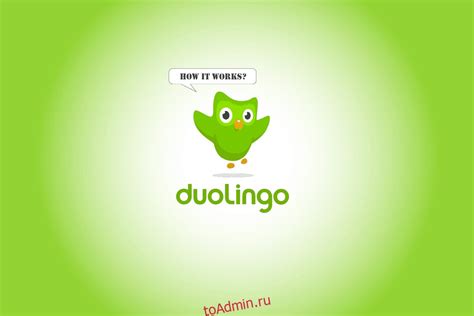 Что такое Duolingo и как он помогает в изучении английского