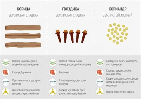 Шаги по правильному использованию шалкера