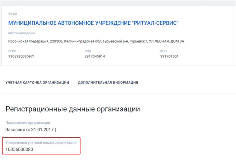 Шаги по проведению проверки учетного номера в Минюсте