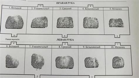 Шаги по созданию дактилоскопической карты