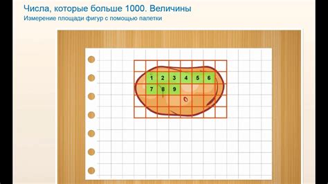 Шаг 1: Определение формы и измерение площади