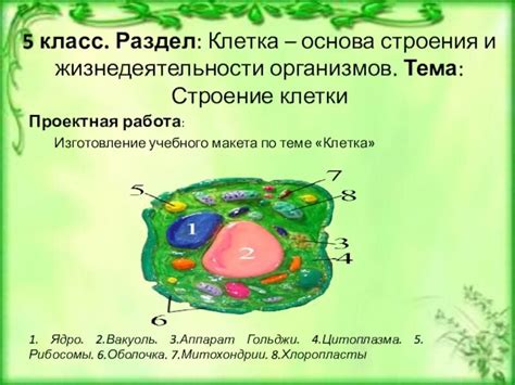 Шаг 2: Использование инструмента «Прямоугольник» для создания основы клетки