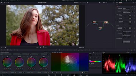 Шаг 3: Установка плагина в DaVinci Resolve