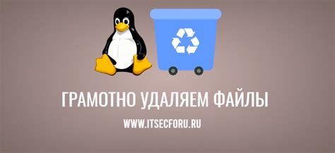 Шаг 4. Удаление файлов с определенным расширением через команду "rm *.расширение"