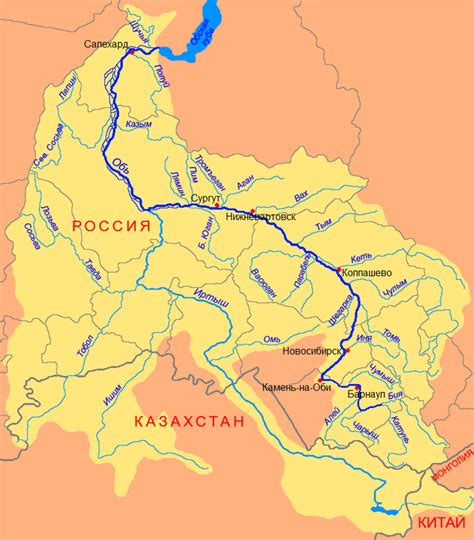 Широкая популярность в России