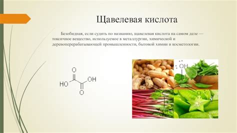 Щавелевая кислота: ключевое вещество